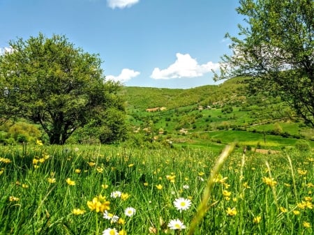 blessed spring - fields, kosovo, beautiful, jasenovik