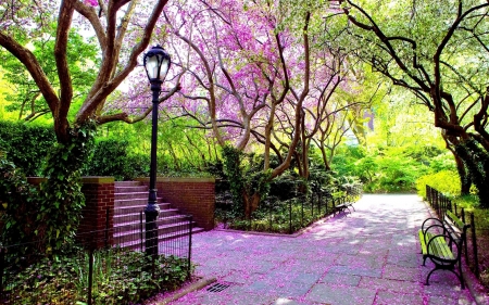 ♥ - abstract, bench, pin, garden