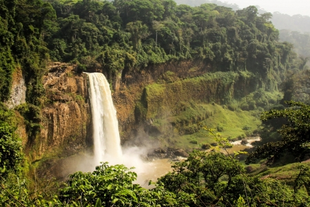 Mountain Jungle River Waterfall