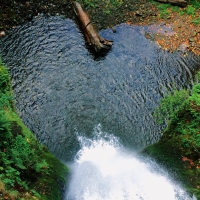 Heart Pond