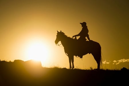 Cowgirl at Sunset - woman, wildlife, silhouette, horse, cowgirl