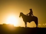 Cowgirl at Sunset