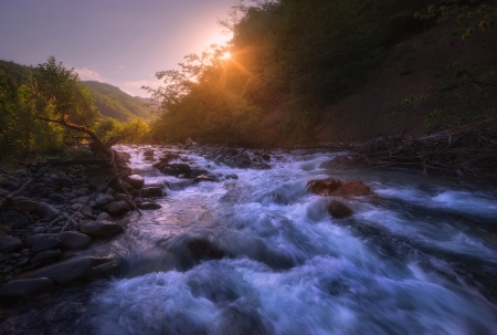 Fresh Water - river, fresh, water, nature