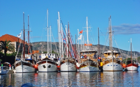 Marina - sailboats, harbor, marina, reflection