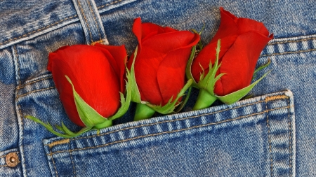 â™¥ - red, blue, jeans, rose, pocket, flower