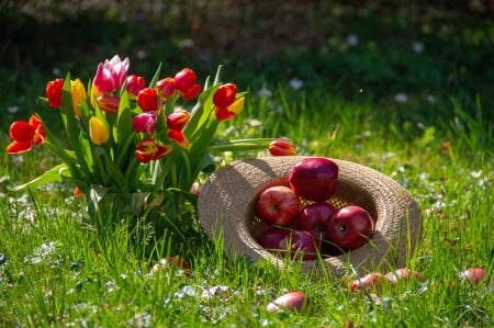 Springtime - hat, pretty, beautiful, spring, grass, freshness, bouquet, flowers, apples, tulips