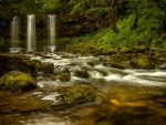 Forest Waterfall