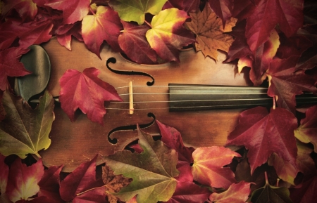 ♥ - abstract, photography, violin, autumn