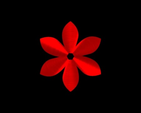 flower red - black, gizzzi, red, labrano, flower