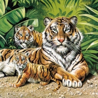 Tigers