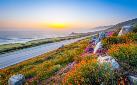 Charming Coastal Road - nature, landscape, road, wildflowers, coast