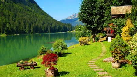 Peaceful Morning Lake