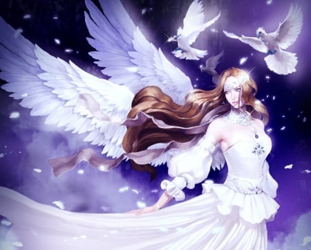 Angel - feather, dove, girl, wings, white, fantasy, pasare, daehun park, luminos, angel