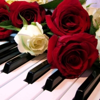 Piano and Roses