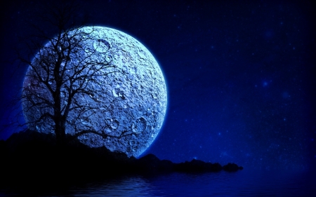 Moonlight - moon, silhouette, night, black, fantasy, white, blue, luna, tree