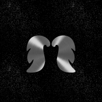silver wings night sky