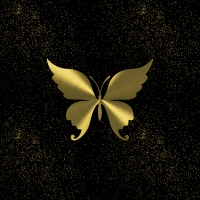 butterfly gold night sky