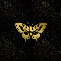 butterfly gold night sky