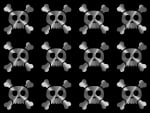 silver skulls