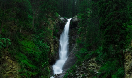 Tall Waterfall in Green Forest - Mountains, Nature, Waterfalls, Green, Forests