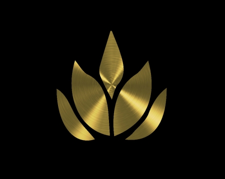 leaf gold - labrano, gizzzi, leaf, golden, black, gold