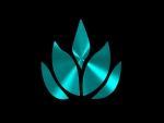 leaf teal