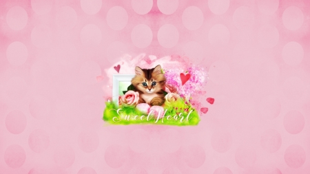 Kitten - pisica, flower, maryline cazenave, pink, kitten, cat