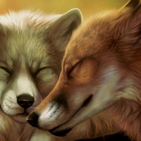 Foxes