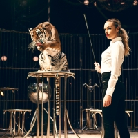 The taming of the tiger