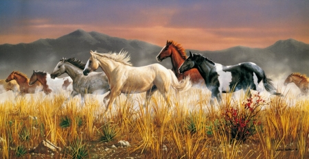 Horses - pictura, animal, painting, cal, horse, wild