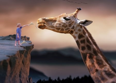 Feeding The Giraffe - sky, mountain, boy, animals, clouds, feed, giraffe