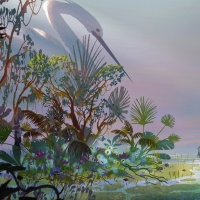Aigret island