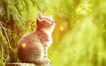 Golden dream - summer, cat, gold fish, pisica, fantasy, kitten, orange, dream, luminos, vara, green