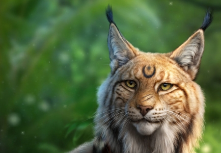 Khajiit - khajiit, cat, fantasy, pisica, green, face, alenaekaterinburg, lynx, luminos