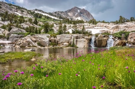 Mountainscape - mountain, stream, grass, waterfall, spring, wildflowers, rocks, creek