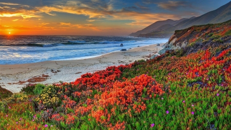 Wildflowers by the Sea - clouds, coast, sea, ocean, flowers, shore, nature, field, sky