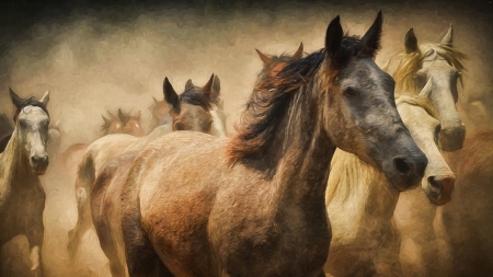 Herd of Horses - horses, brown, ranch, dust, herd, firefox persona theme