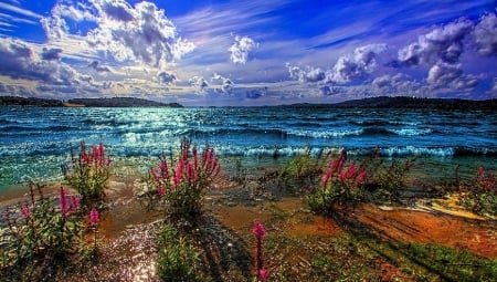 Stormy Lakeside - sky, sunrays, water, clouds, flowers, waves