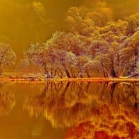 Mirror in the Lake at Sunset,