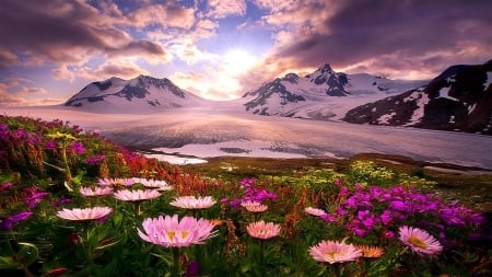 Spring in Alaska - sky, alaska, mountains, sunlights, spring, nature, reflection, dawn, glacier, flowers