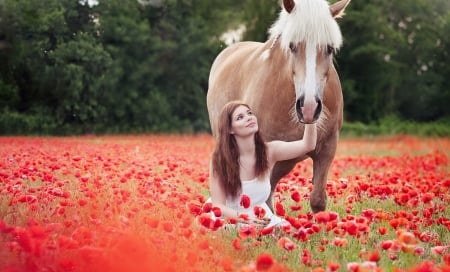 â™¥ - woman, girl, horse, cal, field, model, poppy