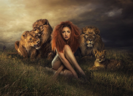 Wild beauty - wold, redhead, womna, model, girl, lion, jason hahn