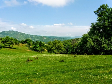 Beautiful landscape - beautiful, fields, trees, kosovo