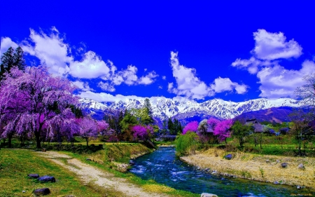 Spring in the Mountains - clouds, trees, cherry, spring, flowers, river, nature, mountains, sky