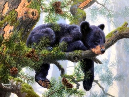 Daydreaming - bear, pine tree, forests, summer, paintings, spring, love four seasons, animals