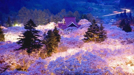 Spring In Japan