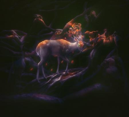 Moon deer - moon, dark, luminos, night, orange, luna, deer, fantasy