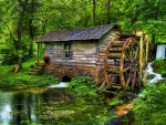 The Water Mill