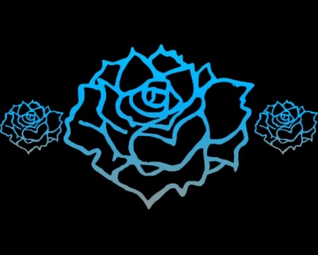 blue roses - roses, gizzzi, blue, rose, labrano