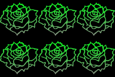 green roses - labrano, gizzzi, roses, green, rose